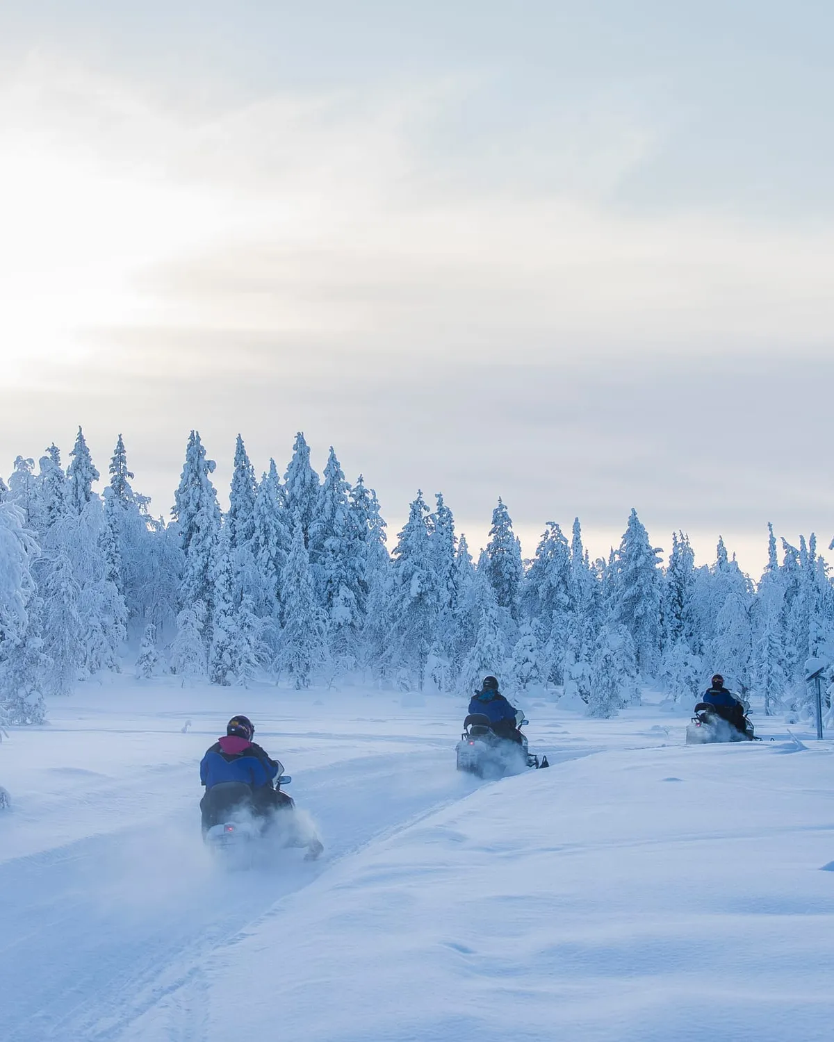 Snowmobile διασχίζουν χιονισμένο δάσος