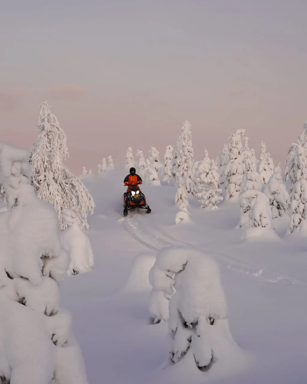 Snowmobile σε χιονισμένο τοπίο